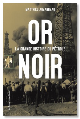 copuverture Or noir