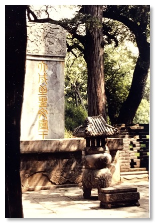 Qufu scan 1983