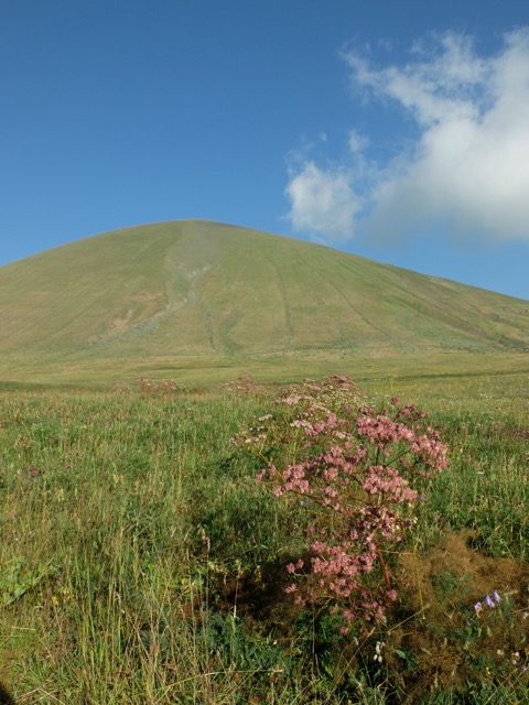 Armaghan