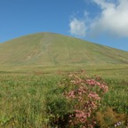 DSCF4983.JPG