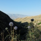 DSCF5088.JPG