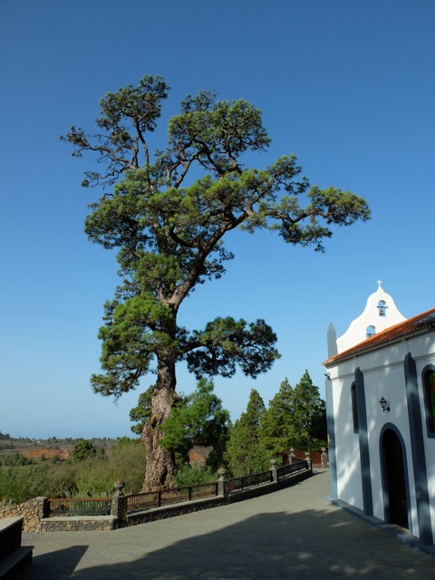 Ermitage de la Vierge du pin