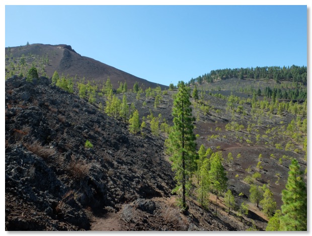 Montana Negra Tenerife