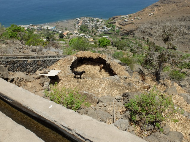 Tarrafal de Monte Trigo