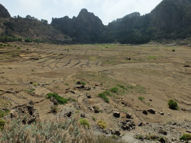 Cova de Paúl