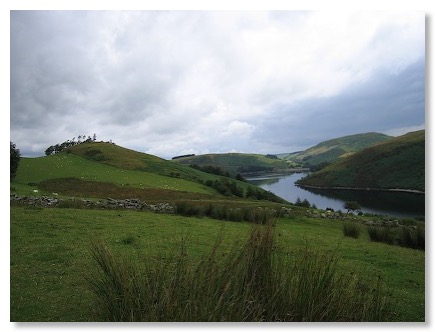 Llyn Clyvedog