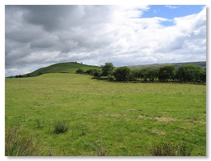 Pen Coed