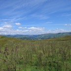 IMG_0115.JPG