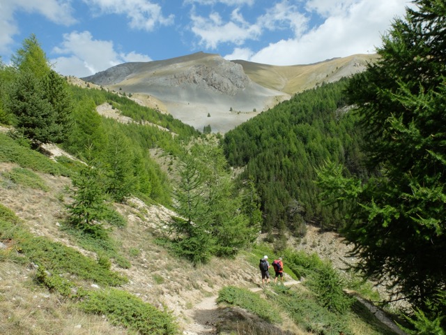 Forêt du Mont-Dauphin