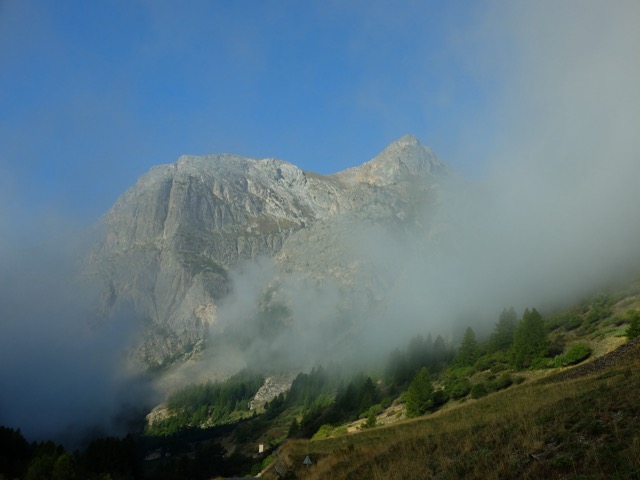 La Tête de Sanglier