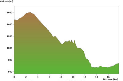 Profil Lenzerheide - Thusis