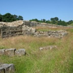 IMG_0118.jpeg