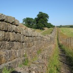 IMG_0128.jpeg
