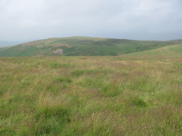 The Cheviots