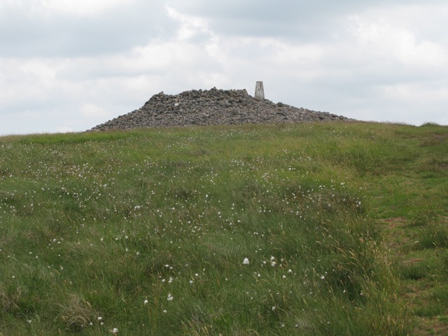 Windy Gyle