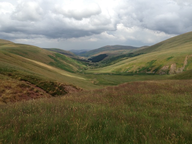 The Cheviots