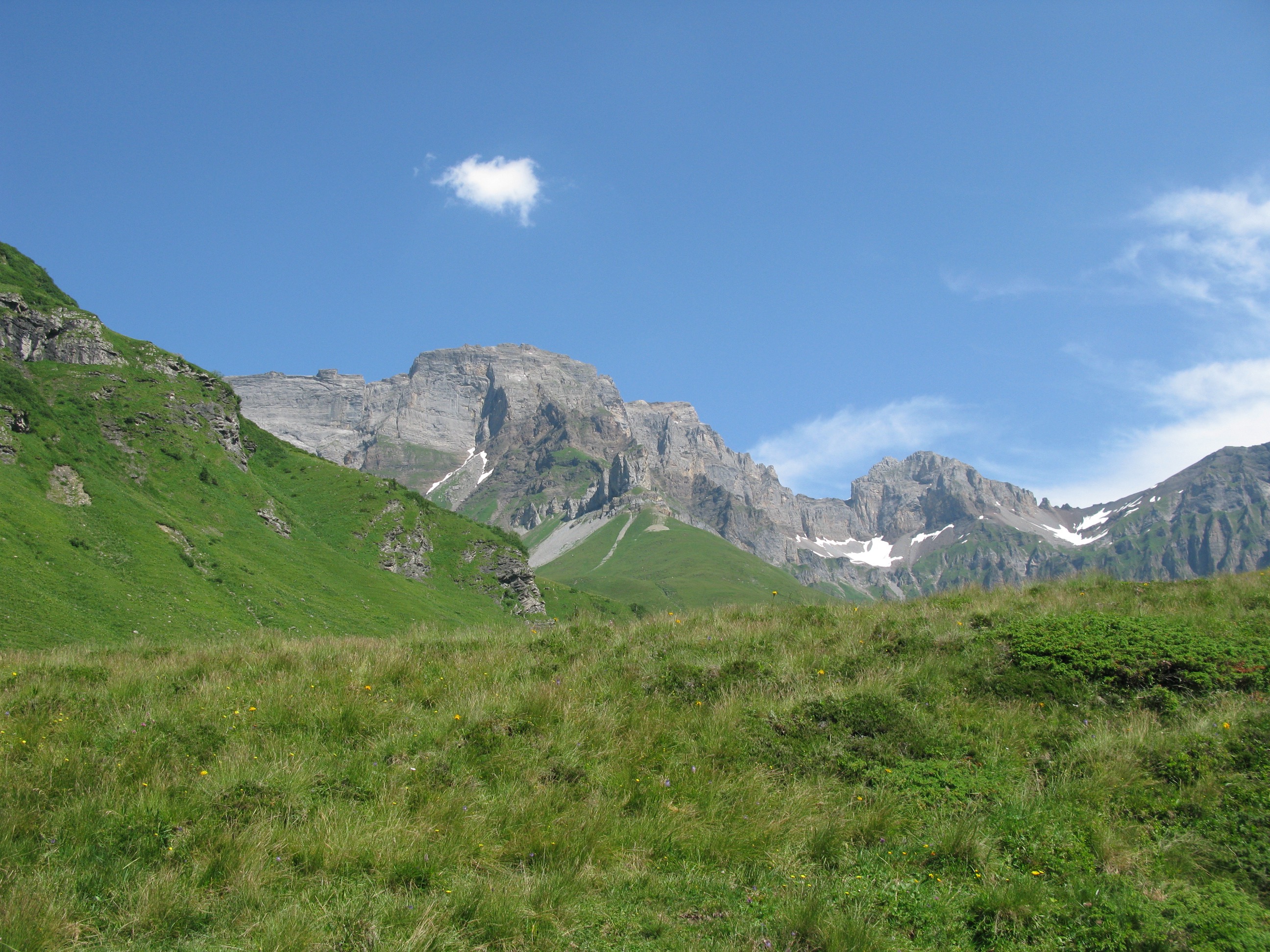Wissigstock