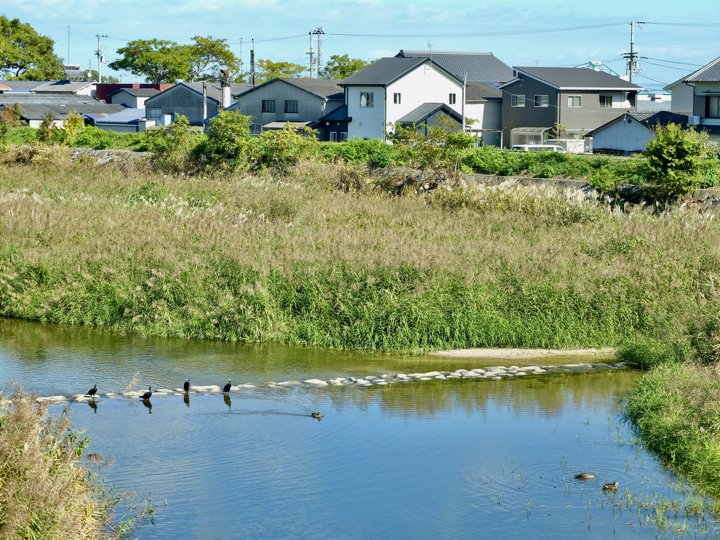 Nakadera, Imabari