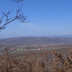 IMG_1428.JPG