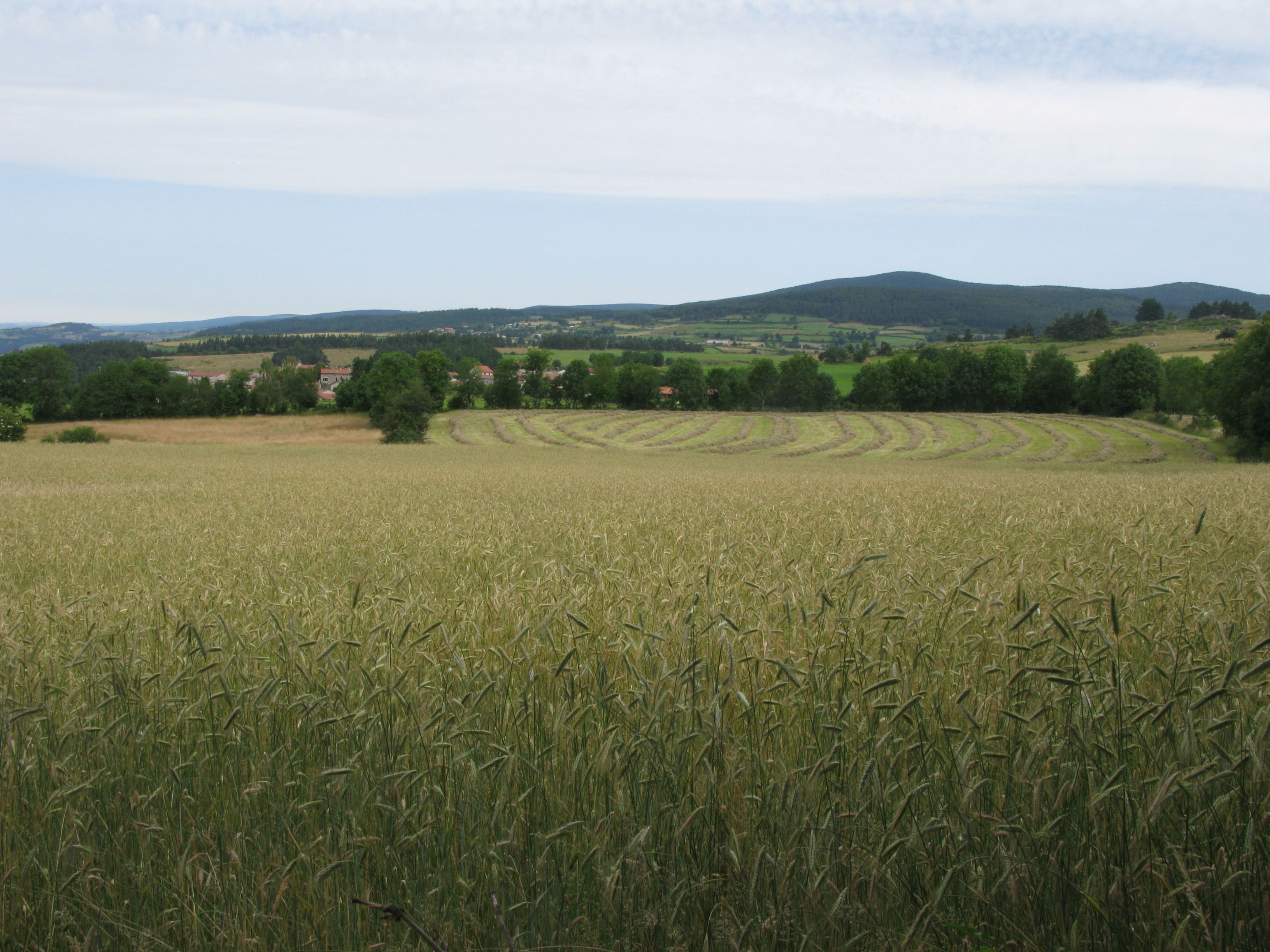 Montchabrier
