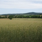 IMG_0398.jpeg