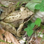 IMG_0402.jpeg