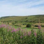 IMG_0475.jpeg