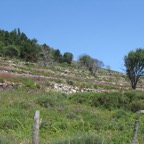 IMG_0628.jpeg