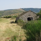 IMG_0657.jpeg