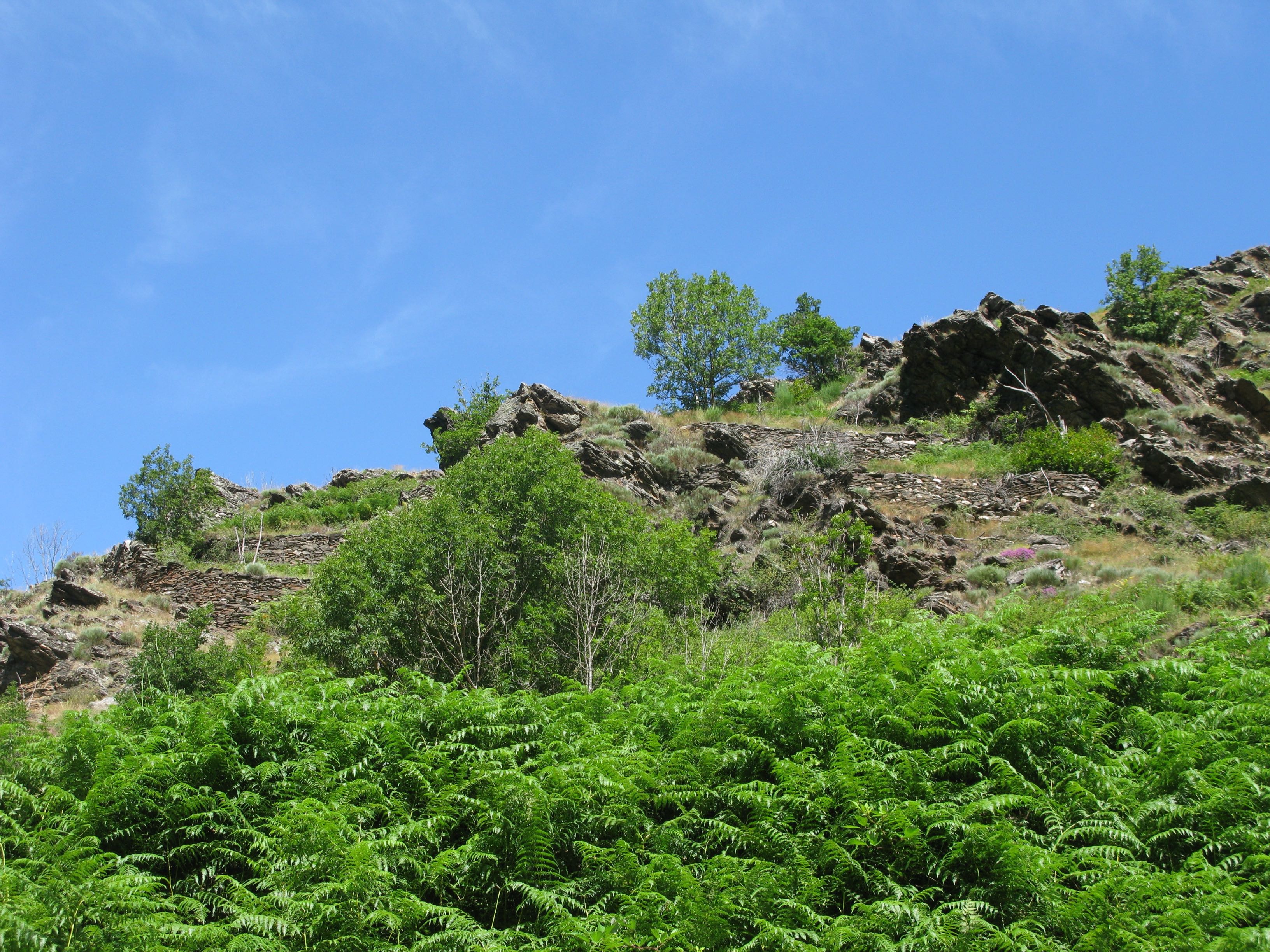 Vallon de la Mimente