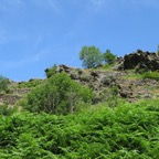 IMG_0712.jpeg