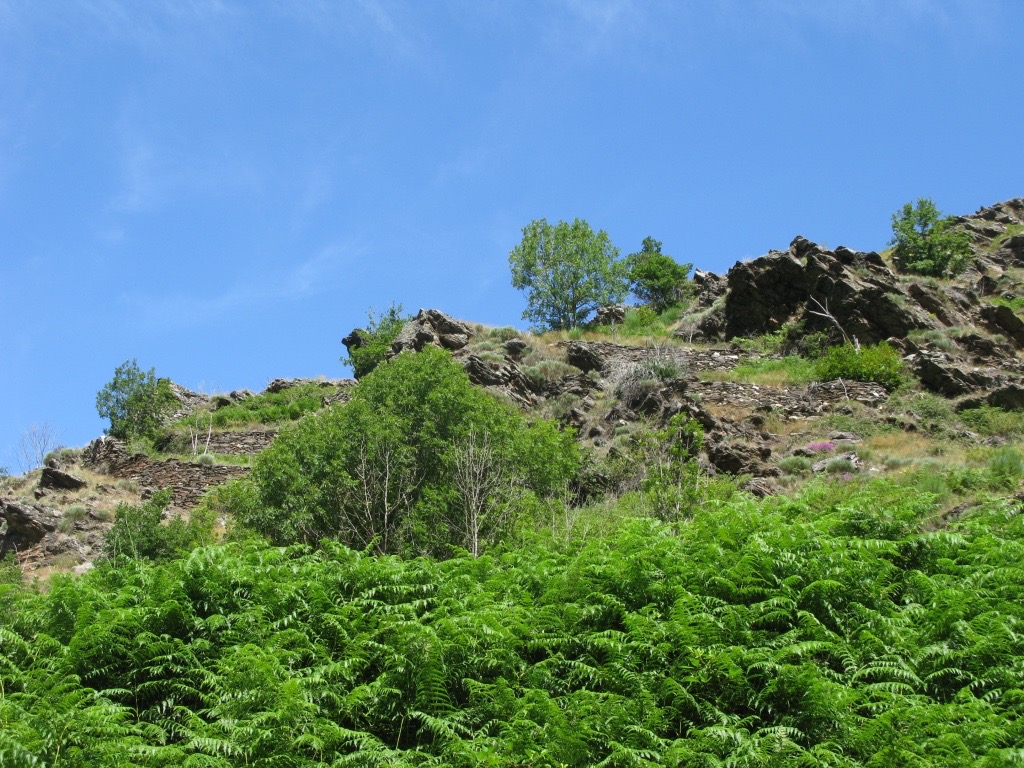 Vallon de la Mimente