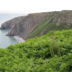 IMG_0022.jpeg