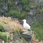 IMG_0038.jpeg