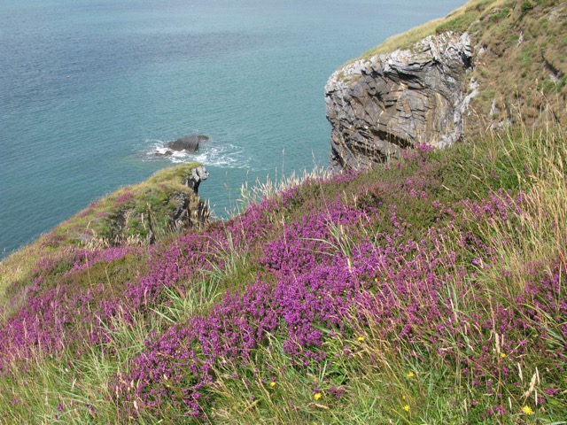 Traeth Bâch