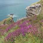 IMG_0045.jpeg