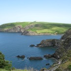 IMG_0095.jpeg