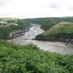 IMG_0256.jpeg