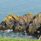 IMG_0427.jpeg