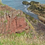 IMG_0438.jpeg