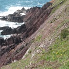 IMG_0522.jpeg