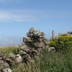 IMG_0535.jpeg