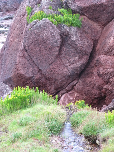 Freshwater West