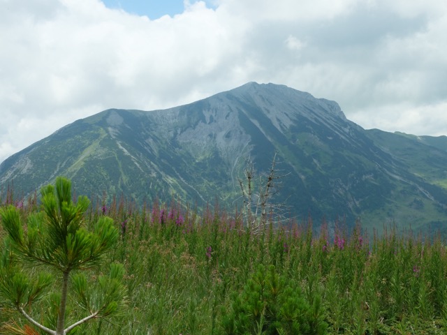Col de la Jelenka