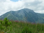 DSCF4254.JPG