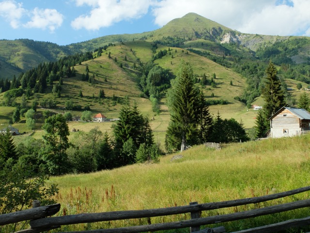 Babino Polje