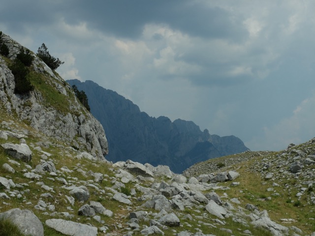 She i Bardhë