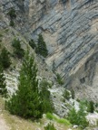 DSCF4373.JPG