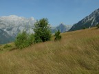 DSCF4452.JPG