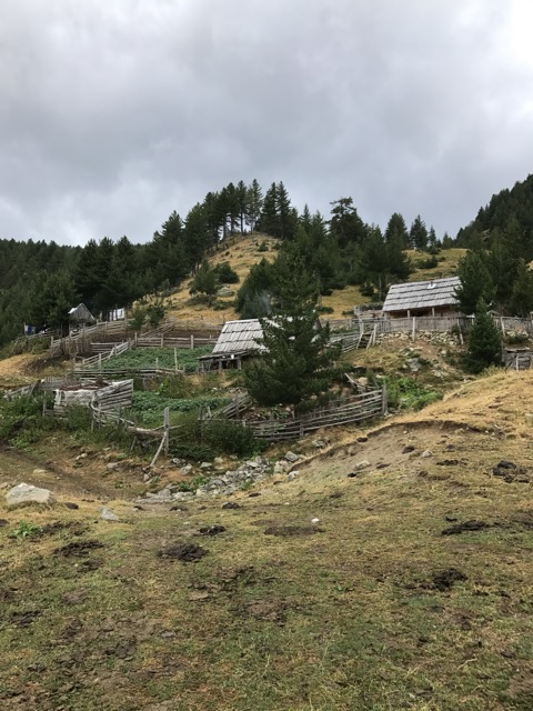 Balqin